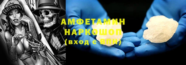 шишки Арсеньев