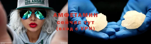шишки Арсеньев