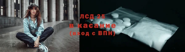 шишки Арсеньев