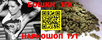 индика Татарск