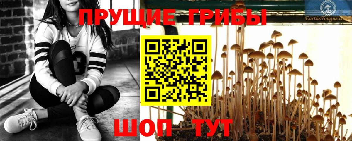 Псилоцибиновые грибы MAGIC MUSHROOMS  Вход с VPN  Галлюциногенные грибы Magic Shrooms  Рубцовск 