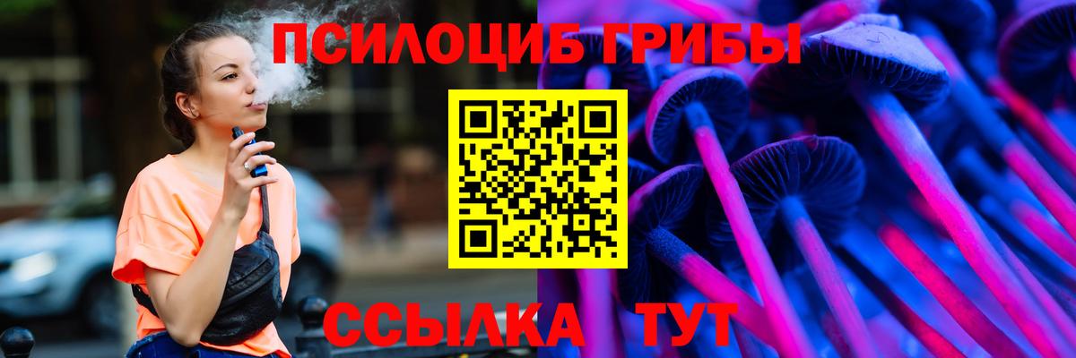 Псилоцибиновые грибы Cubensis Рубцовск